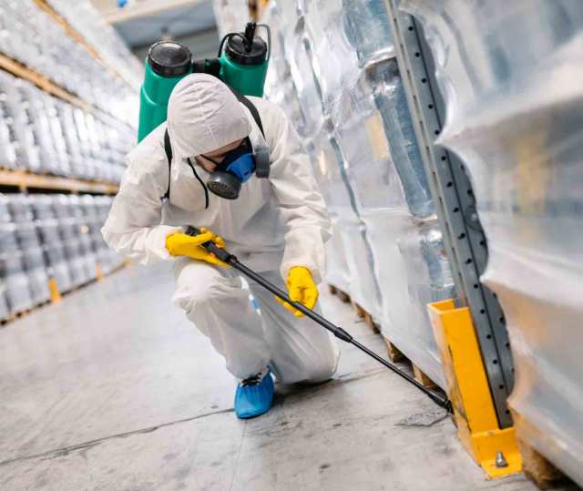 Commercial Pest Control