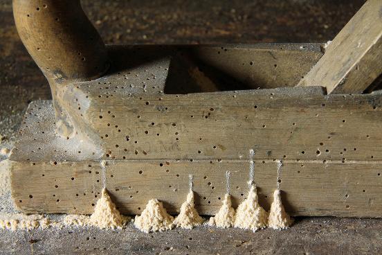 Exterminate Pest Control Woodworm Treatment Dublin | Kildare | Wicklow
