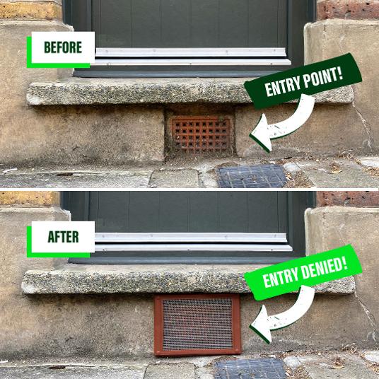 Exterminate.ie Pest Proof Your Property