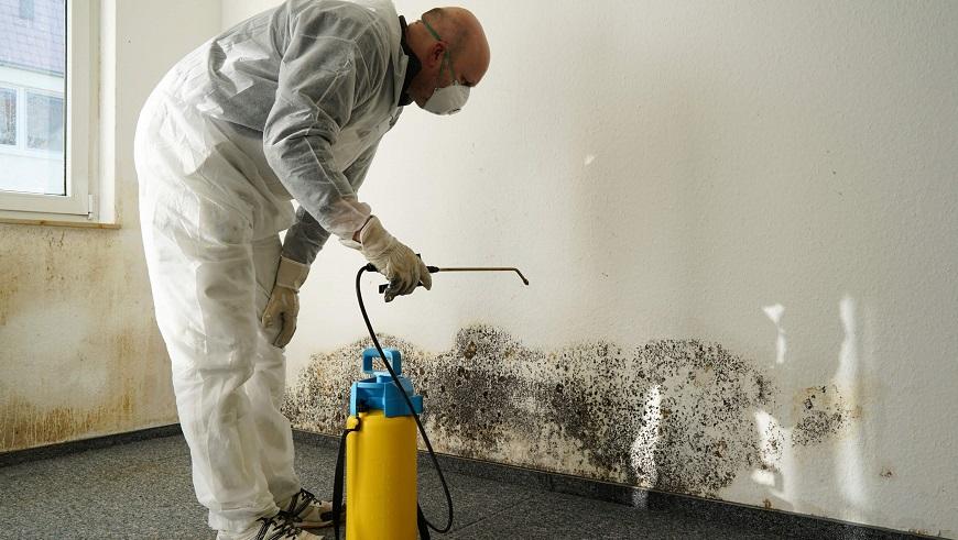 Mould Removal Cleaning Service Dublin Kildare Wicklow