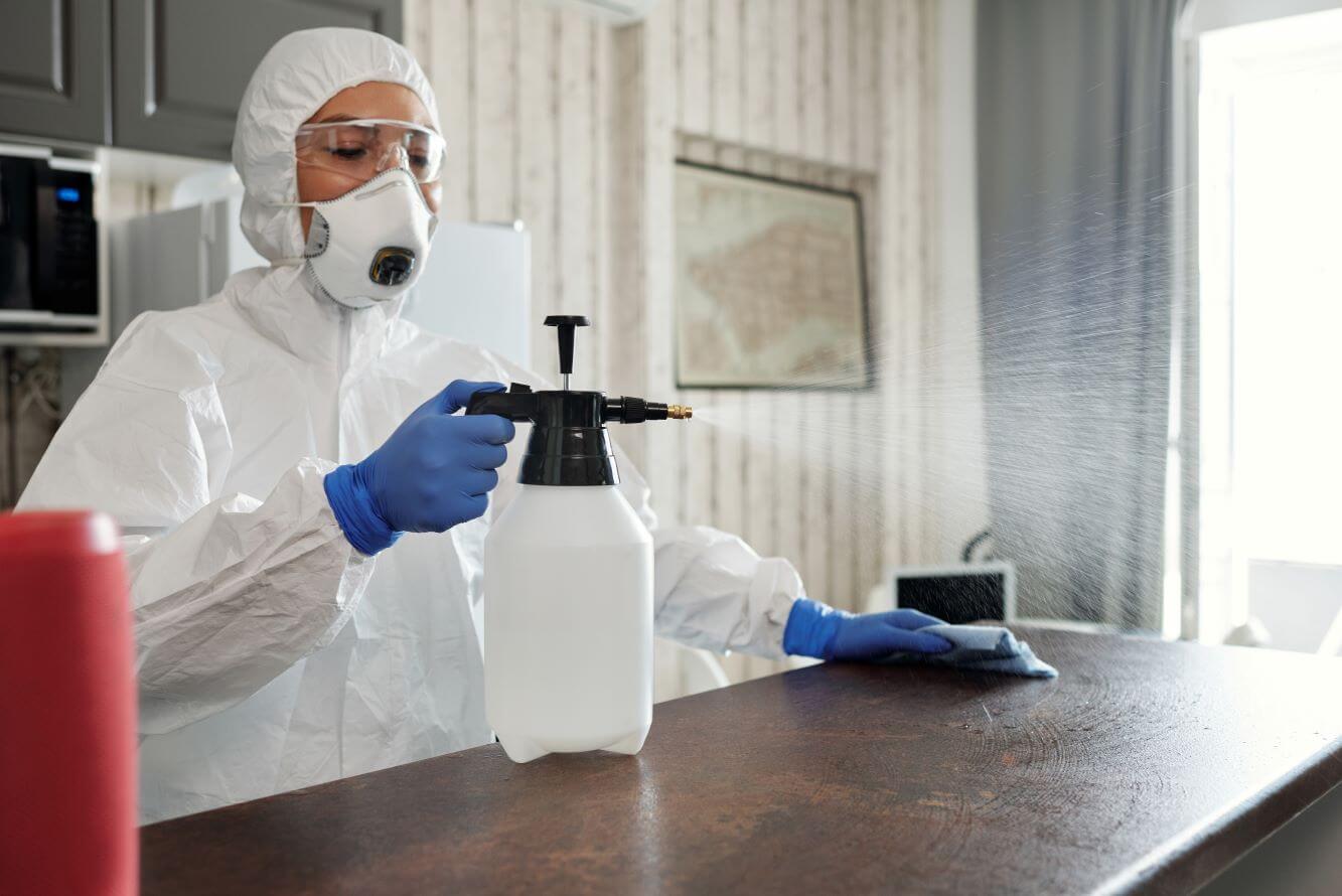 Commercial Pest Cleaning Service