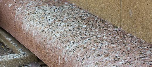 Bird Droppings Fouling Cleaning