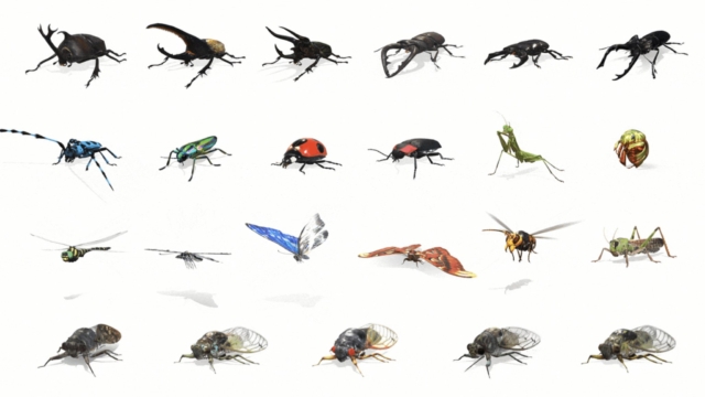 Insect Pest Control Services